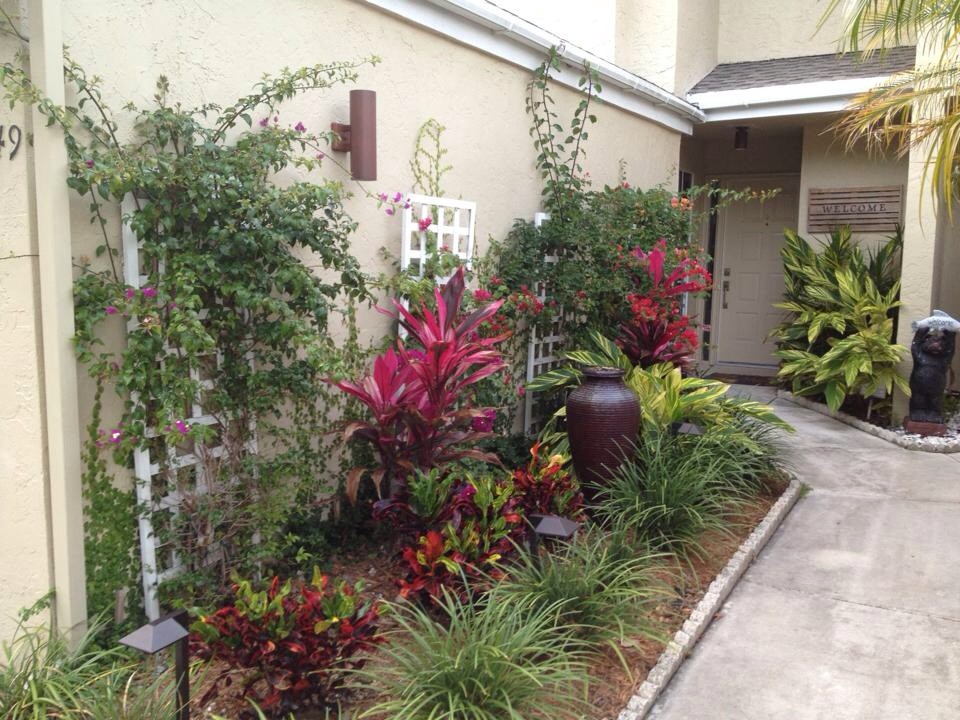 Foto di un piccolo giardino tropicale esposto a mezz'ombra davanti casa con un ingresso o sentiero