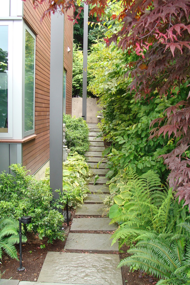 Пример оригинального дизайна: регулярный сад среднего размера на боковом дворе в стиле модернизм с садовой дорожкой или калиткой и покрытием из каменной брусчатки