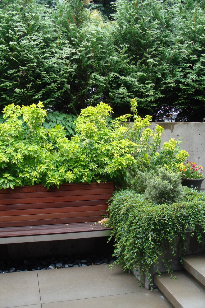 Geometrischer, Großer Moderner Garten hinter dem Haus mit Kübelpflanzen, direkter Sonneneinstrahlung und Natursteinplatten in Seattle