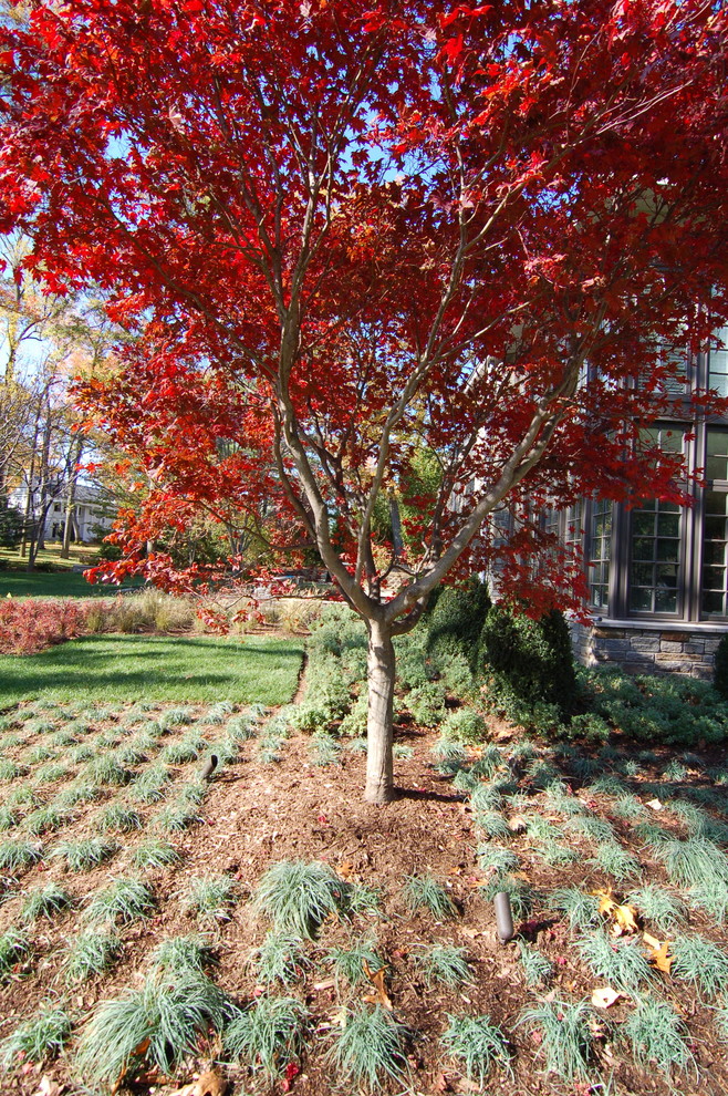 Exempel på en mycket stor klassisk formell trädgård i delvis sol framför huset, med naturstensplattor