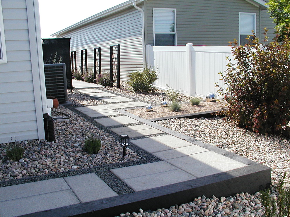 Foto di un piccolo giardino xeriscape minimalista esposto a mezz'ombra dietro casa con pavimentazioni in cemento