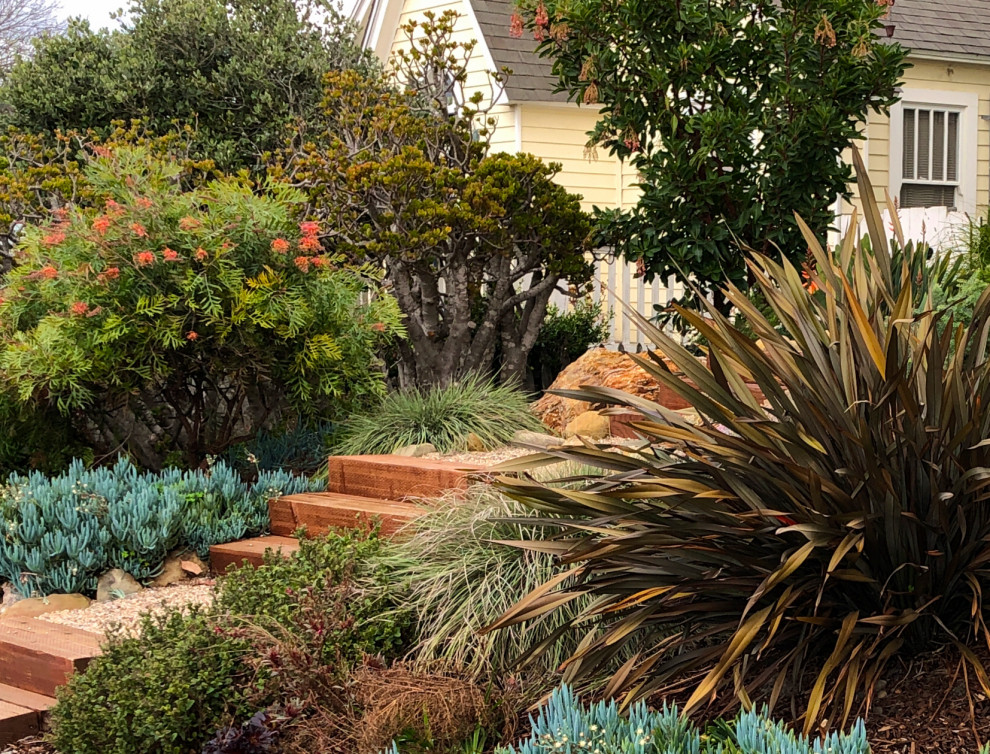 Пример оригинального дизайна: засухоустойчивый сад на переднем дворе в классическом стиле с садовой дорожкой или калиткой