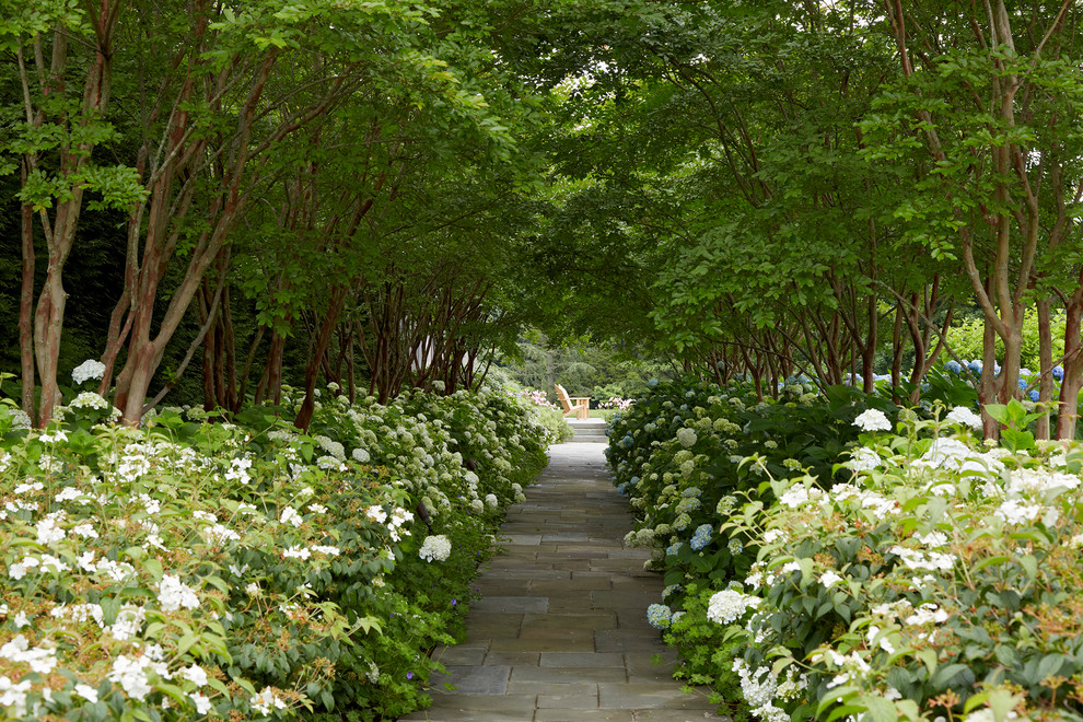 Immagine di un giardino classico in ombra con un ingresso o sentiero