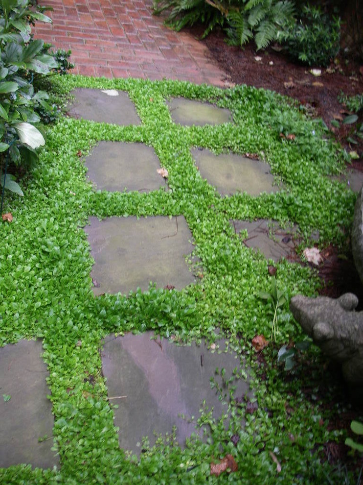Пример оригинального дизайна: маленький участок и сад на боковом дворе в классическом стиле с садовой дорожкой или калиткой и покрытием из каменной брусчатки для на участке и в саду