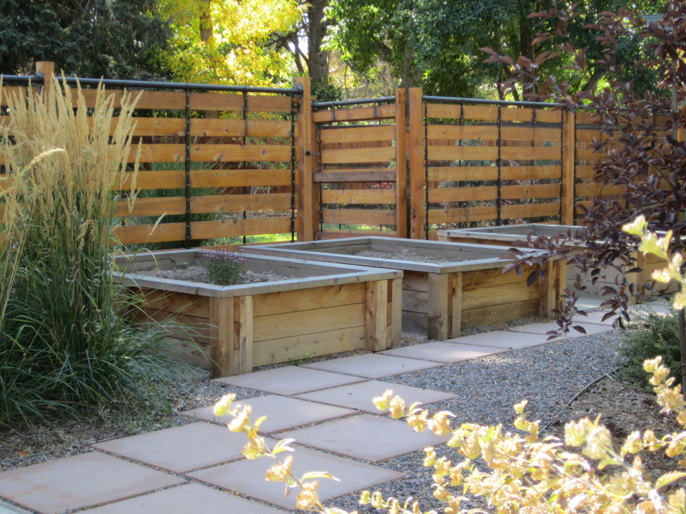 Idee per un piccolo orto in giardino esposto in pieno sole dietro casa in estate con pavimentazioni in cemento