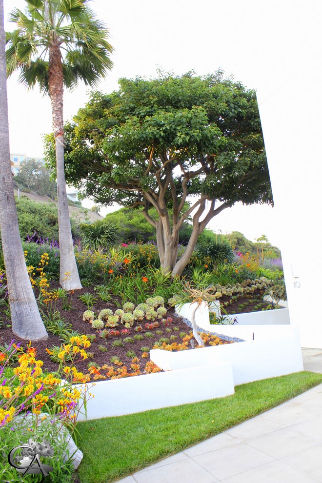 Photo of a transitional landscaping in Orange County.