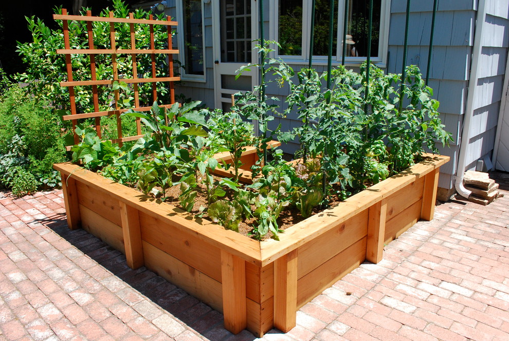 Inspiration for a traditional landscaping in San Francisco.