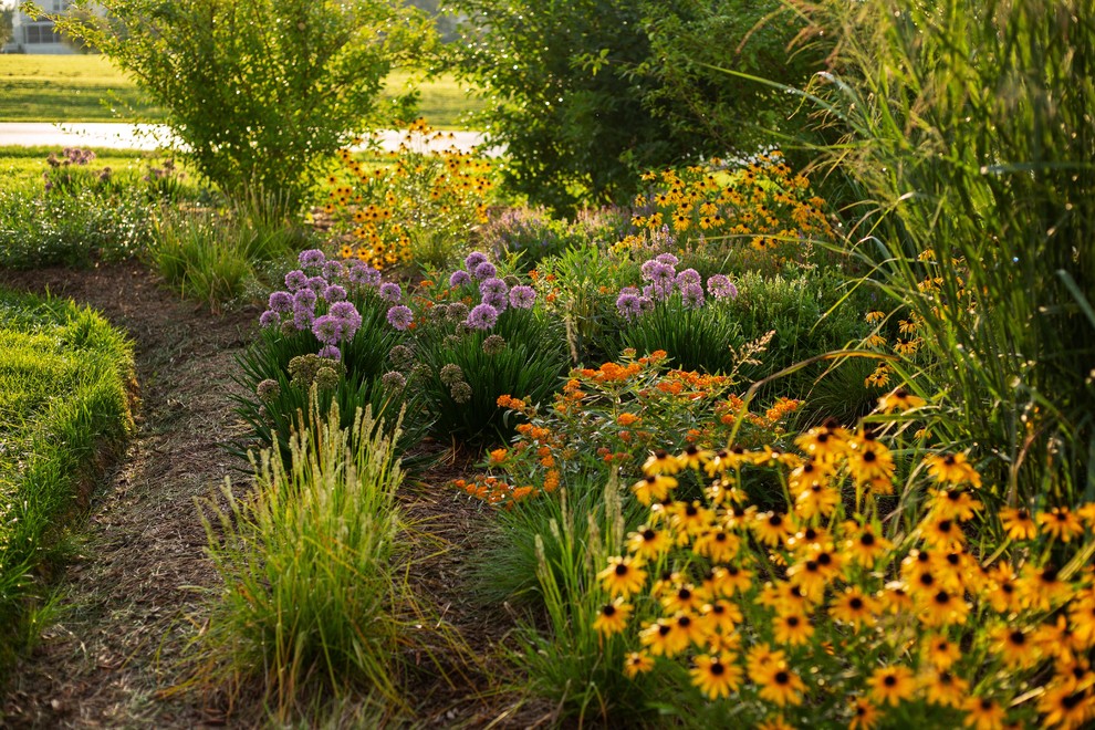 Стильный дизайн: маленький солнечный, летний засухоустойчивый сад на переднем дворе в современном стиле с хорошей освещенностью для на участке и в саду - последний тренд