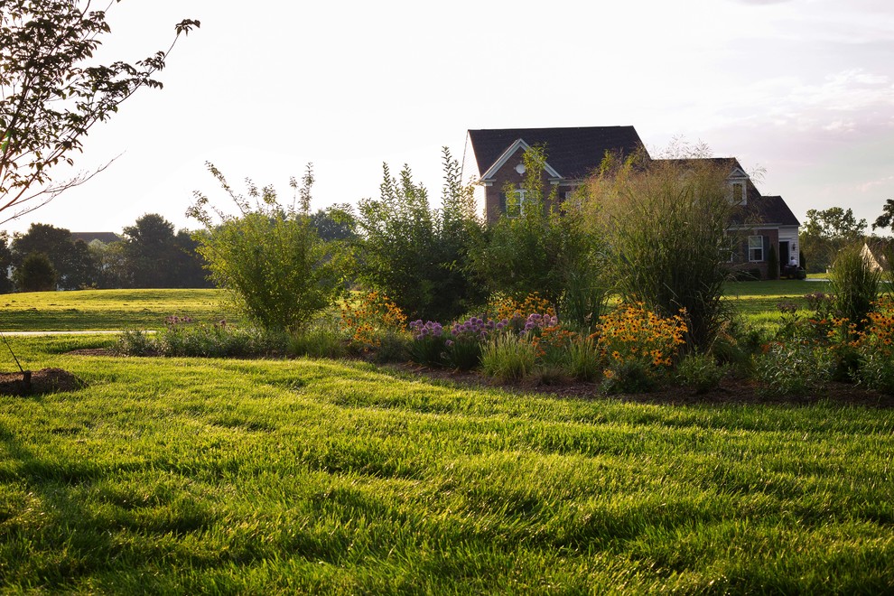 ワシントンD.C.にあるお手頃価格の夏の、小さなコンテンポラリースタイルのおしゃれな前庭 (日向、ゼリスケープ) の写真