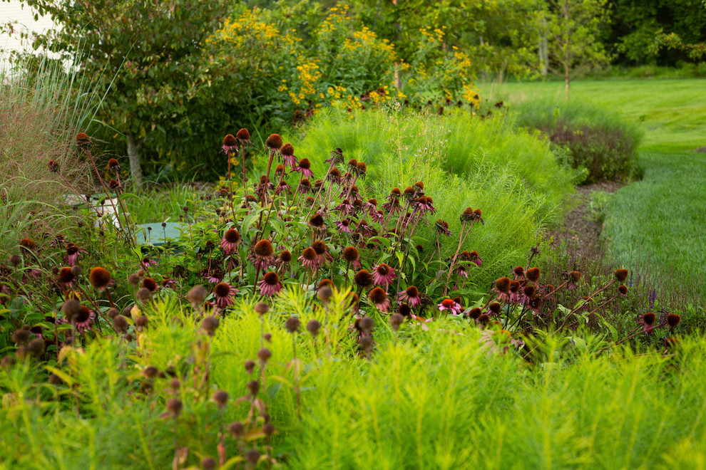ワシントンD.C.にある夏のコンテンポラリースタイルのおしゃれな庭 (日向) の写真
