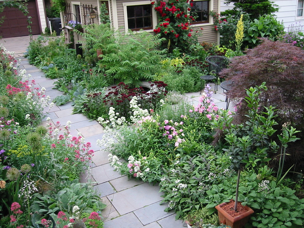 Medicinal Herb Garden Mediterranean Landscape San Diego by John