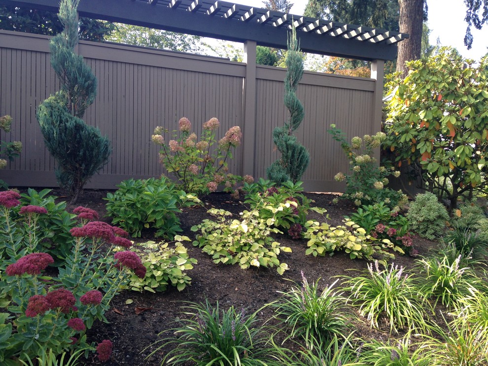 This is an example of a large contemporary front yard landscaping in Seattle.