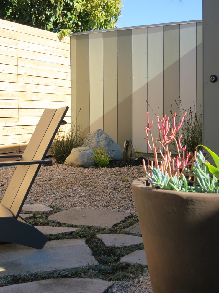 Идея дизайна: участок и сад на заднем дворе в стиле модернизм с растениями в контейнерах