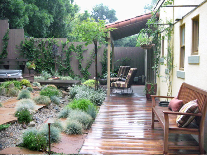 Cette image montre un petit xéropaysage arrière design avec une exposition ensoleillée et une terrasse en bois.