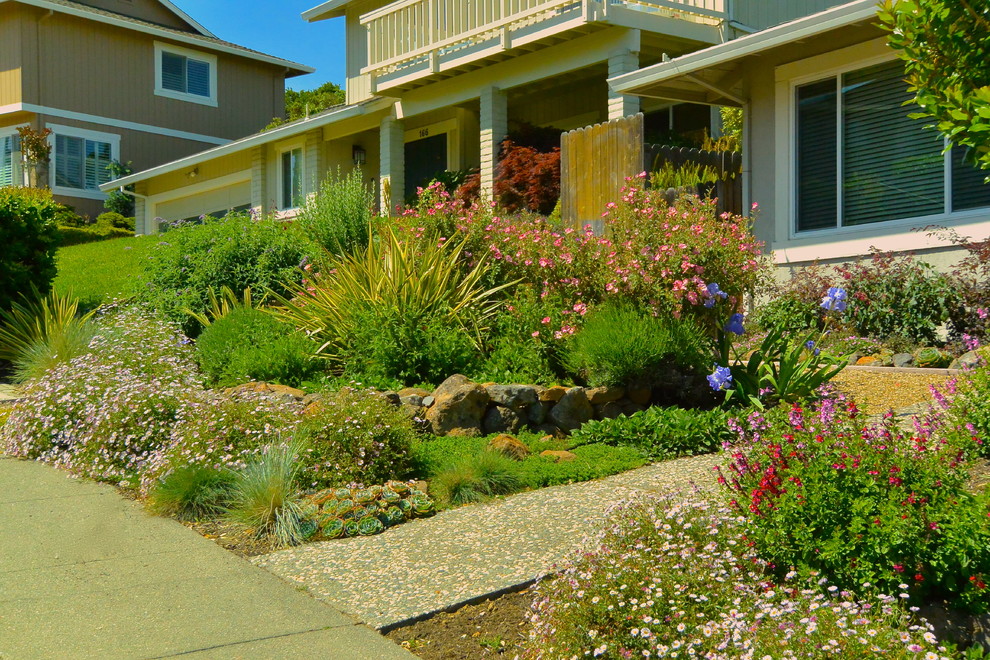 サンフランシスコにある低価格の小さな、春の地中海スタイルのおしゃれな前庭 (ゼリスケープ、庭への小道、日向、砂利舗装) の写真