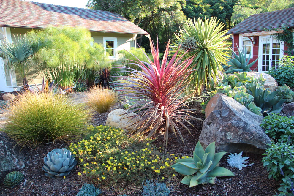 This is an example of a mediterranean xeriscape garden in San Luis Obispo.