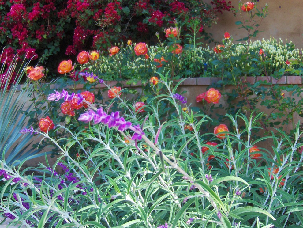 Foto di un giardino xeriscape chic in ombra di medie dimensioni e dietro casa in estate con pavimentazioni in pietra naturale e un ingresso o sentiero