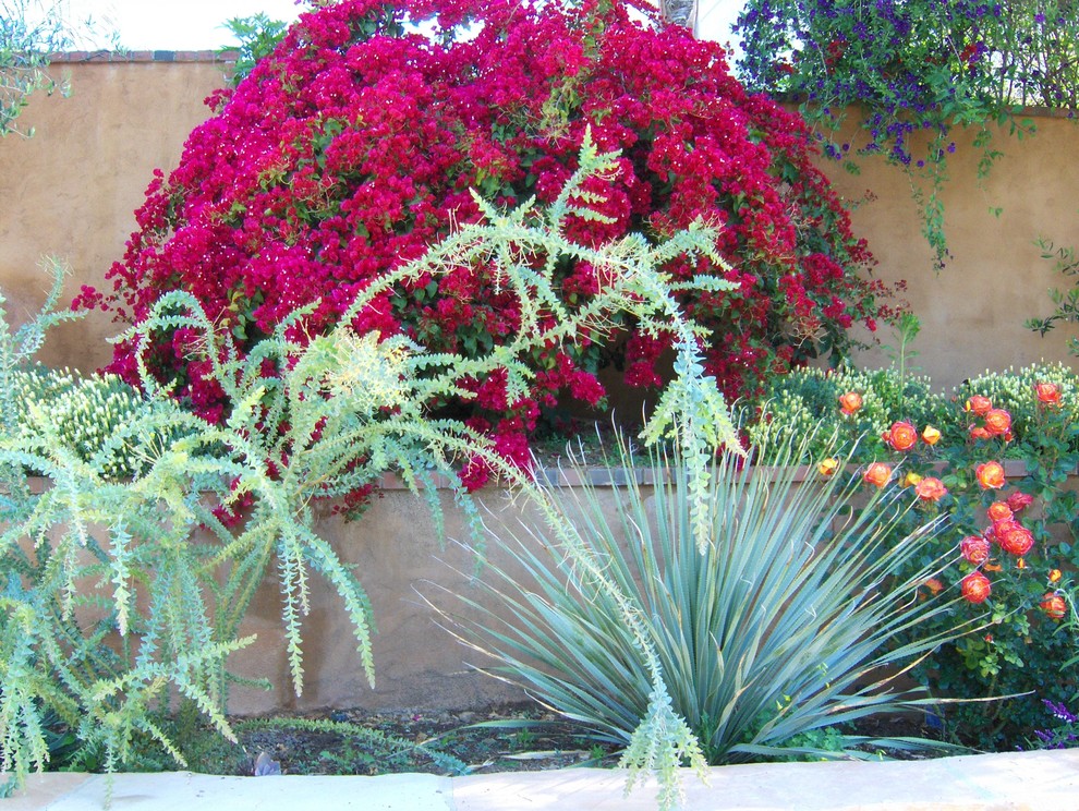 Mittelgroßer, Schattiger Klassischer Gartenweg im Sommer, hinter dem Haus mit Natursteinplatten in Los Angeles