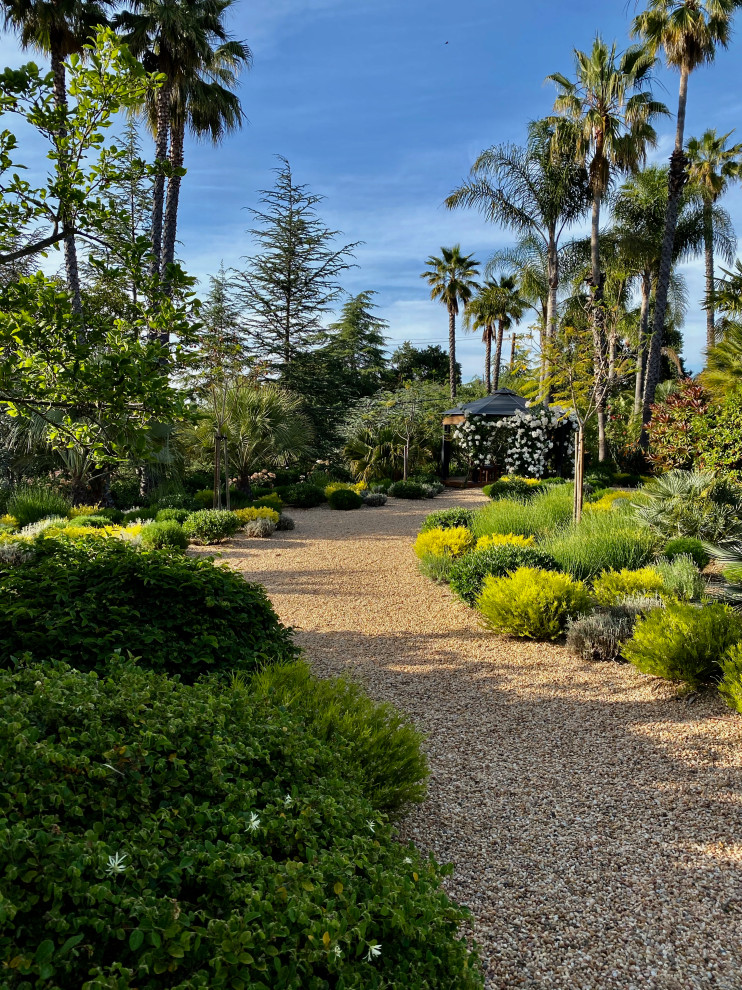 Esempio di un giardino xeriscape mediterraneo esposto in pieno sole di medie dimensioni in estate con un pendio, una collina o una riva e graniglia di granito