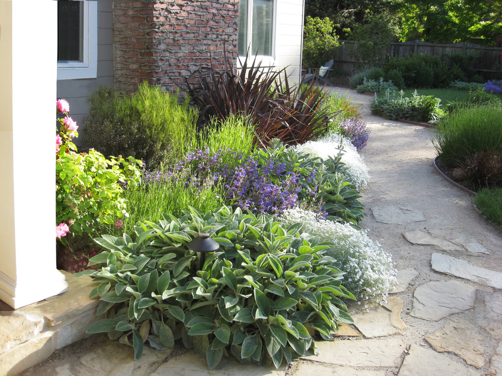 Photo of an expansive mediterranean front partial sun garden for spring in San Francisco with a garden path and natural stone paving.