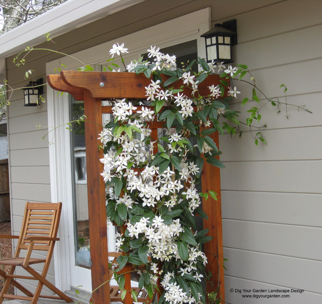 Mediterranean Garden With Curving Pathways Of Dg And Drought Tolerant Plants Mediterranean Garden San Francisco By Dig Your Garden Landscape Design Houzz