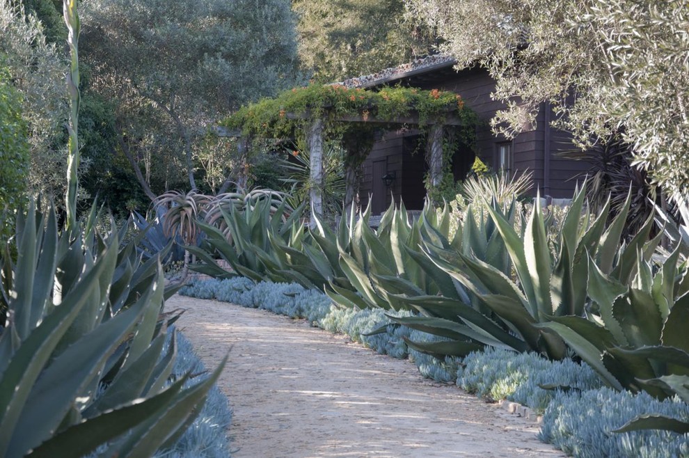 Пример оригинального дизайна: солнечный участок и сад в средиземноморском стиле с хорошей освещенностью