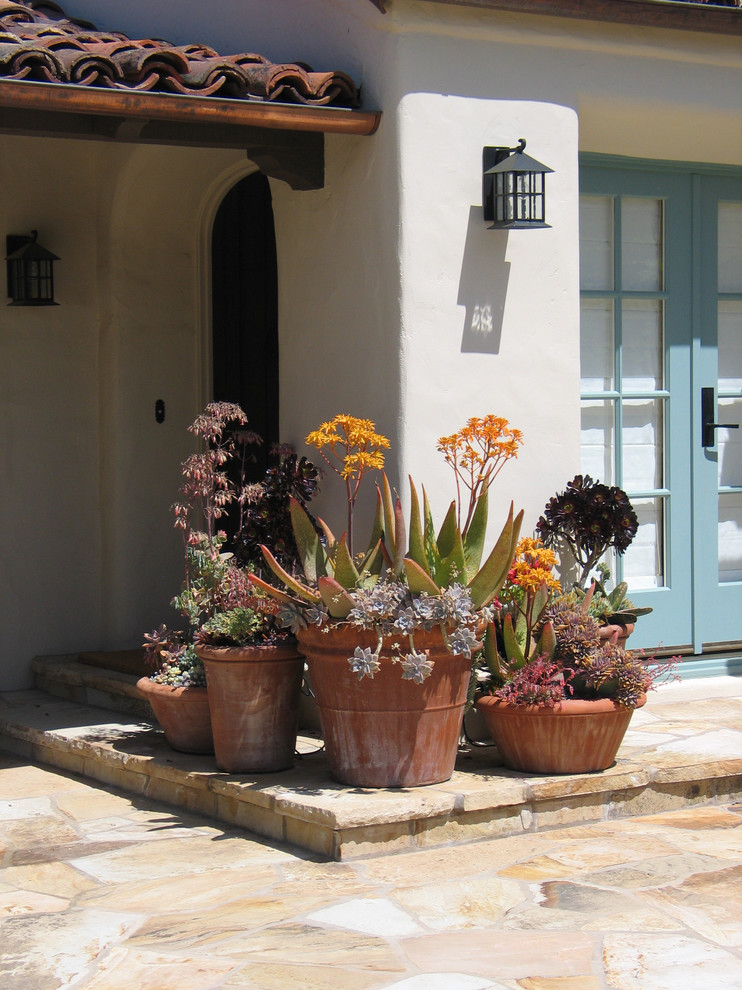 Idee per un giardino mediterraneo esposto in pieno sole con un giardino in vaso