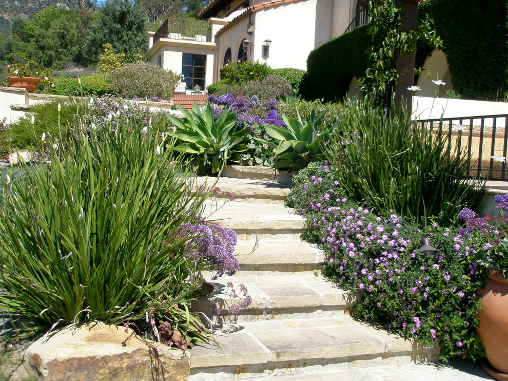 Ispirazione per un giardino mediterraneo esposto in pieno sole con un pendio, una collina o una riva e scale