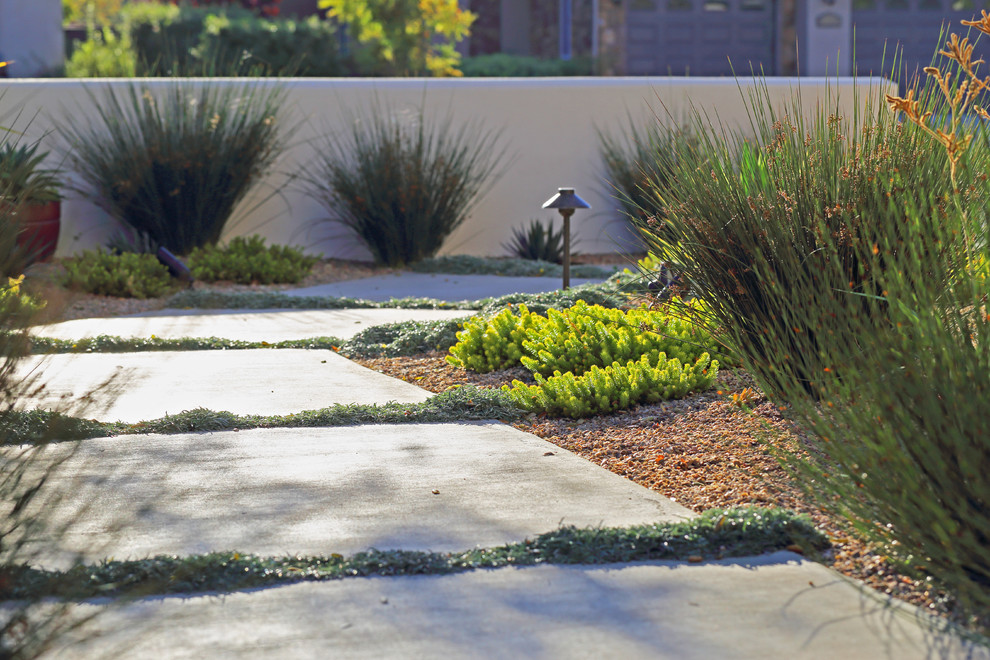 Esempio di un giardino xeriscape minimal esposto a mezz'ombra di medie dimensioni e in cortile con un ingresso o sentiero e pavimentazioni in cemento