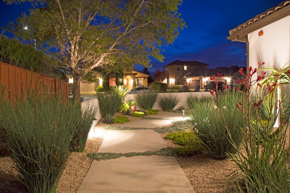 Foto di un giardino xeriscape minimal esposto in pieno sole di medie dimensioni e in cortile con un ingresso o sentiero e pavimentazioni in cemento