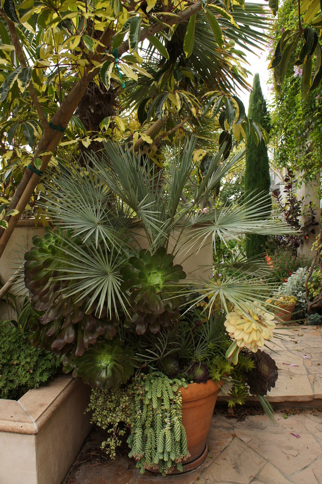 Idée de décoration pour un grand jardin en pots méditerranéen avec une exposition ensoleillée.