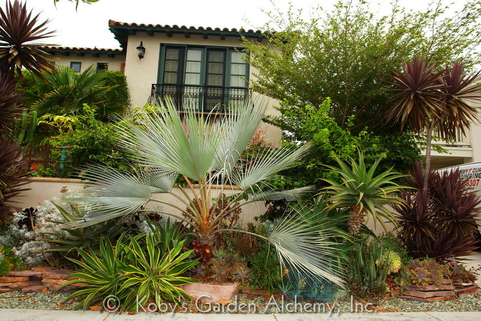 サンディエゴにある中くらいな地中海スタイルのおしゃれな庭 (日向) の写真