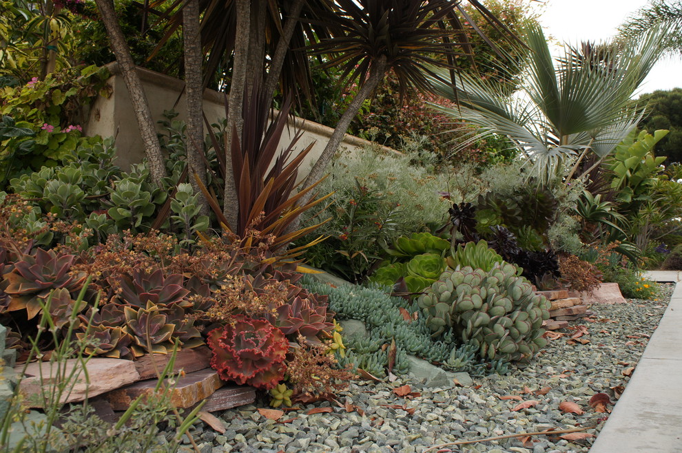 Inspiration for a mediterranean full sun garden in San Diego.