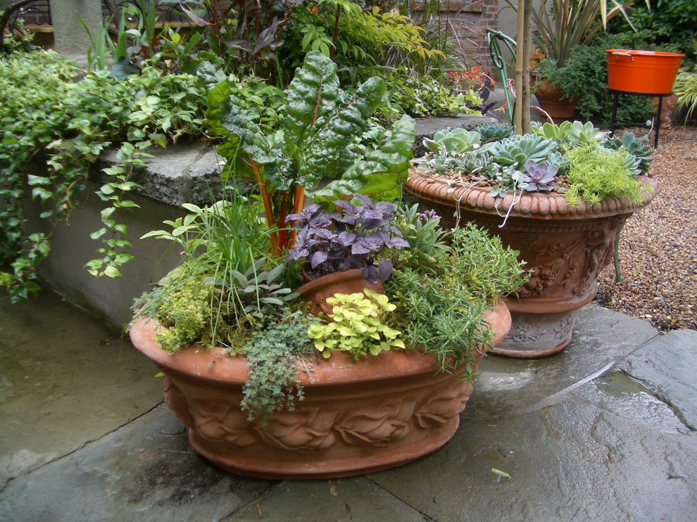 Design ideas for a mediterranean garden in Vancouver.