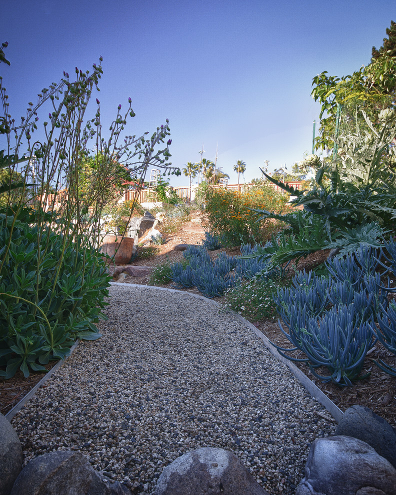 Foto di un giardino xeriscape mediterraneo esposto in pieno sole di medie dimensioni e davanti casa in primavera con un ingresso o sentiero e ghiaia