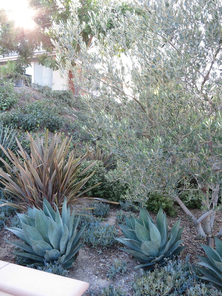 Свежая идея для дизайна: тенистый, летний садовый фонтан среднего размера на заднем дворе в средиземноморском стиле с мульчированием - отличное фото интерьера