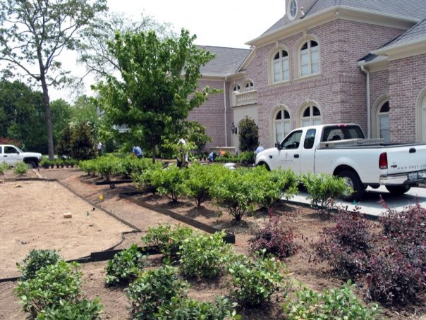 Design ideas for a traditional landscaping in Houston.