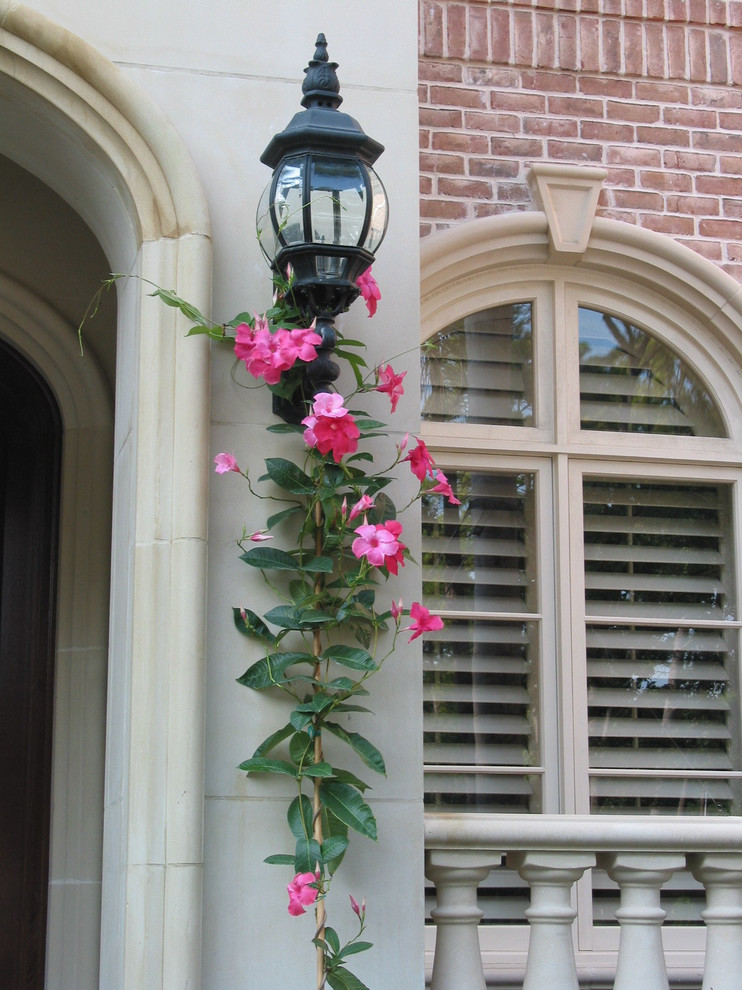 Inspiration for a traditional landscaping in Houston.