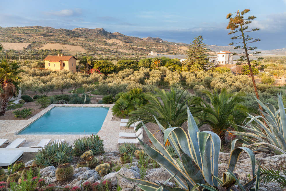 Diseño de jardín de secano mediterráneo grande en patio trasero con exposición total al sol y adoquines de piedra natural