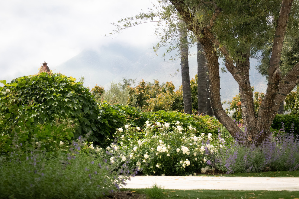 Foto di un giardino xeriscape mediterraneo esposto in pieno sole in cortile con pavimentazioni in pietra naturale