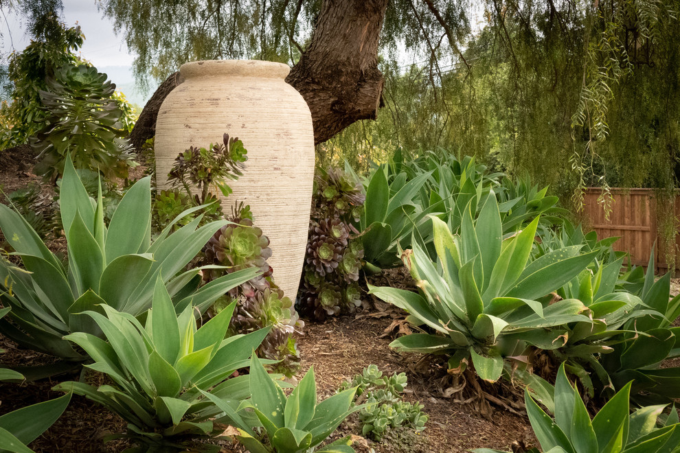 Mediterraner Hanggarten mit Auffahrt, Kübelpflanzen und direkter Sonneneinstrahlung in Santa Barbara