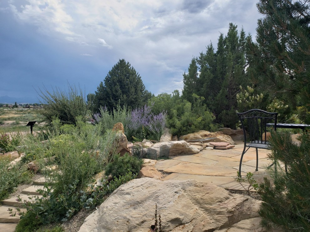 Immagine di un piccolo giardino american style esposto in pieno sole in estate con un pendio, una collina o una riva e pavimentazioni in pietra naturale