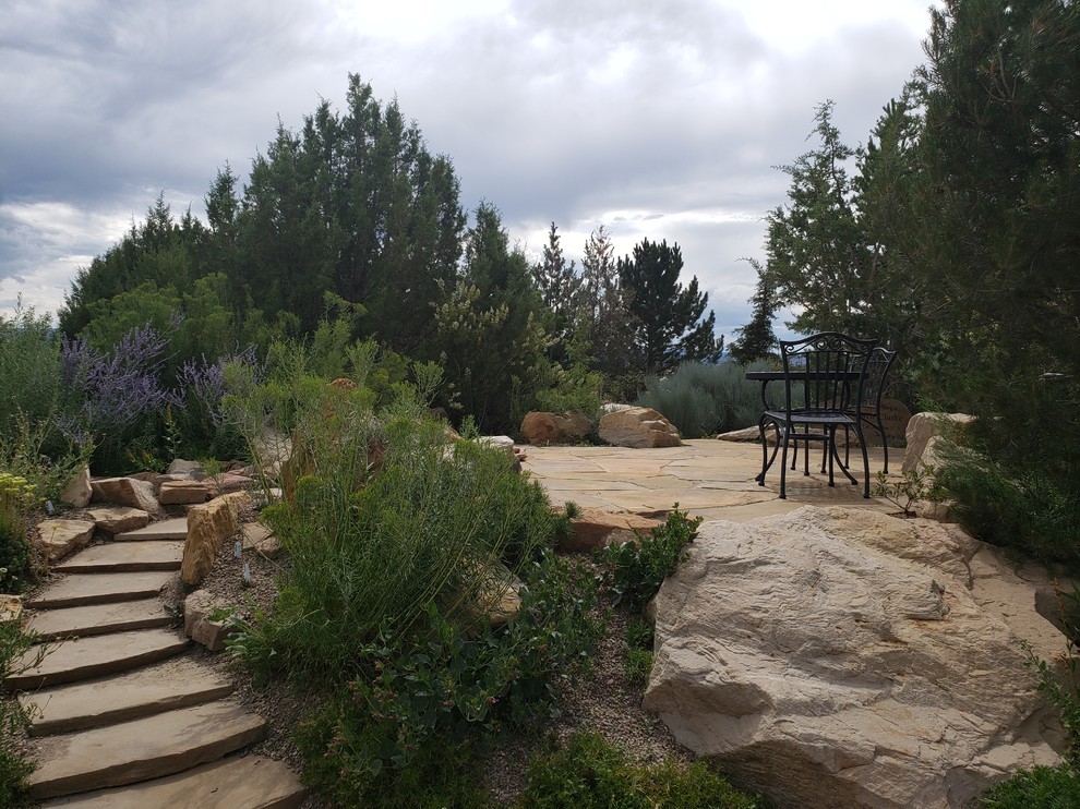 Kleiner Mediterraner Hanggarten im Sommer mit Wüstengarten, direkter Sonneneinstrahlung und Natursteinplatten in Denver