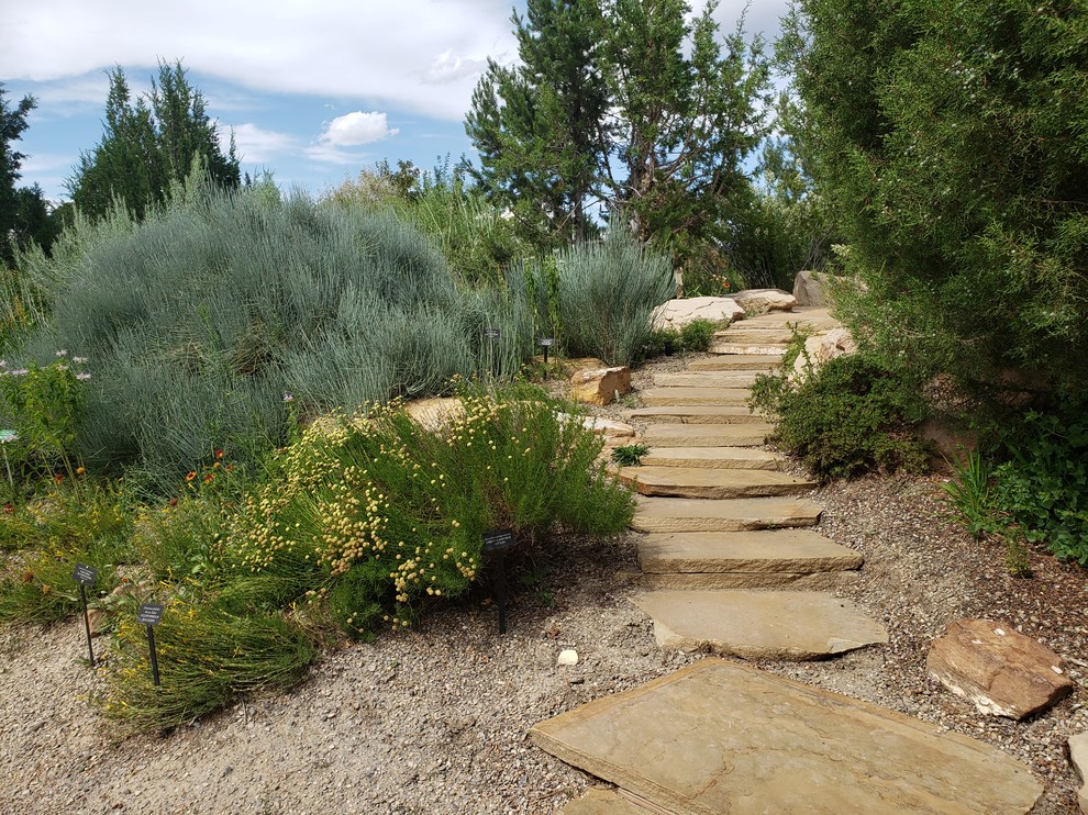 Kleiner Mediterraner Hanggarten im Sommer mit Wüstengarten, direkter Sonneneinstrahlung und Natursteinplatten in Denver