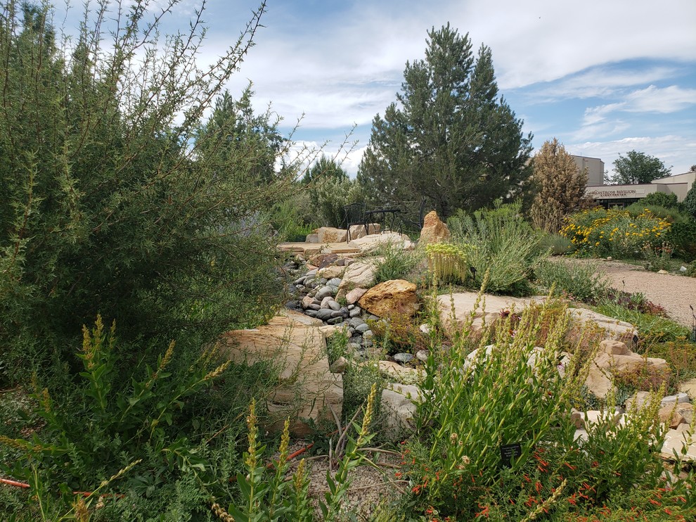 Ispirazione per un piccolo giardino stile americano esposto in pieno sole in estate con un pendio, una collina o una riva e pavimentazioni in pietra naturale