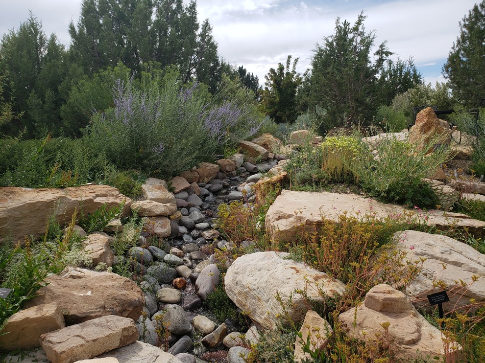 This is an example of a small southwestern drought-tolerant, desert and full sun hillside stone landscaping in Denver for summer.
