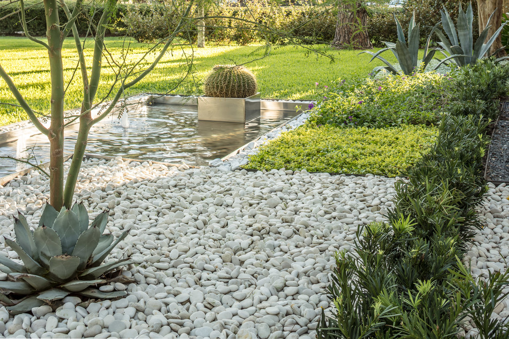 Modelo de jardín de secano contemporáneo de tamaño medio en primavera en patio delantero con estanque, exposición total al sol y adoquines de hormigón