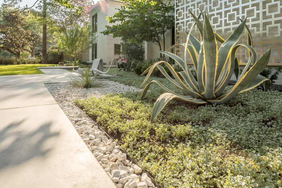 Ispirazione per un giardino xeriscape minimal esposto in pieno sole di medie dimensioni e davanti casa in primavera con un ingresso o sentiero e pavimentazioni in cemento
