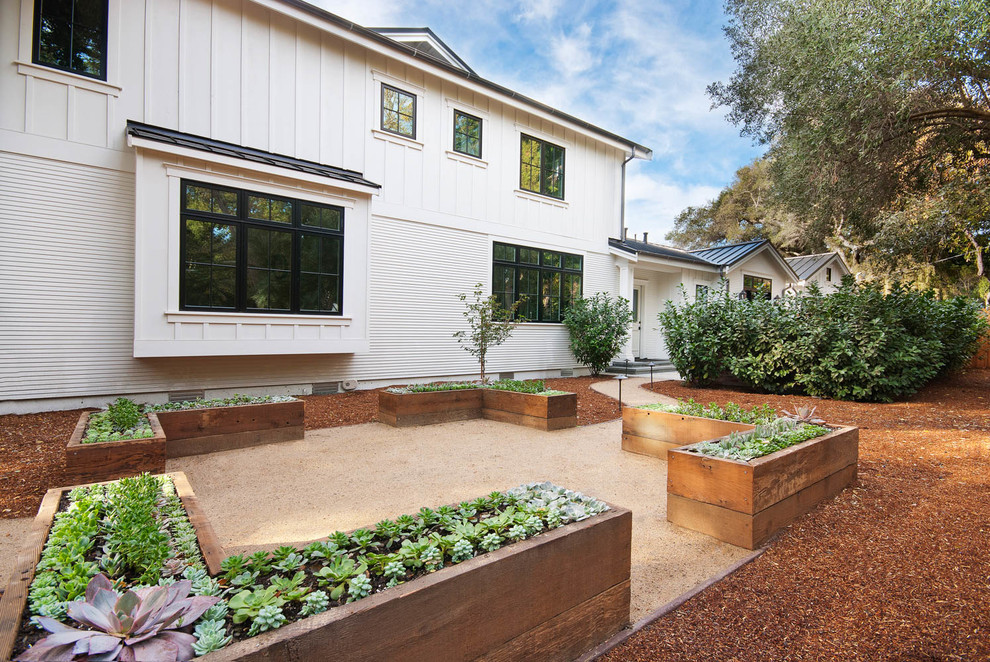 Mittelgroßer, Halbschattiger Landhaus Kiesgarten hinter dem Haus mit Kübelpflanzen in San Francisco
