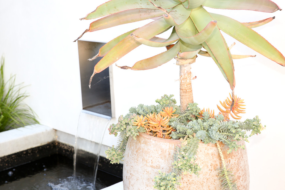 Photo of a mid-sized transitional partial sun courtyard stone water fountain landscape in San Francisco for spring.